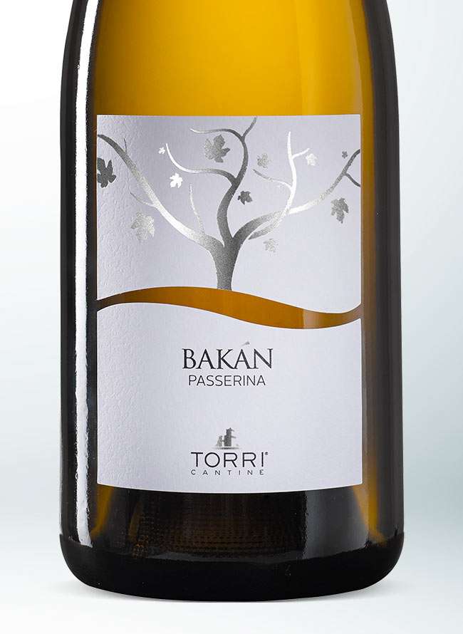 torri-store-bakan-passerina-eti