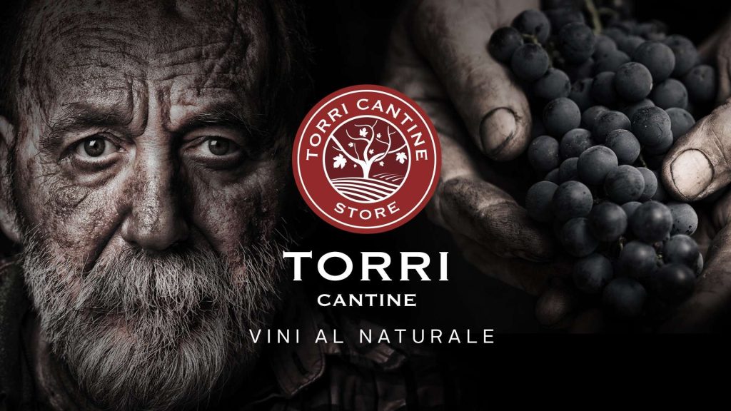 torri store academy