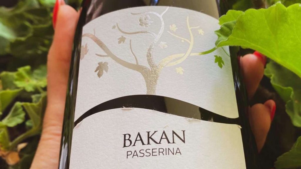 passerina bakan