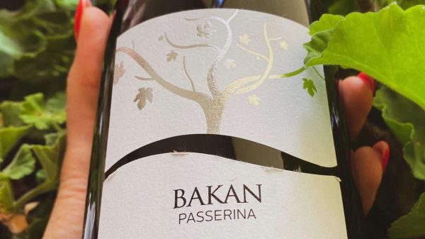 passerina bakan
