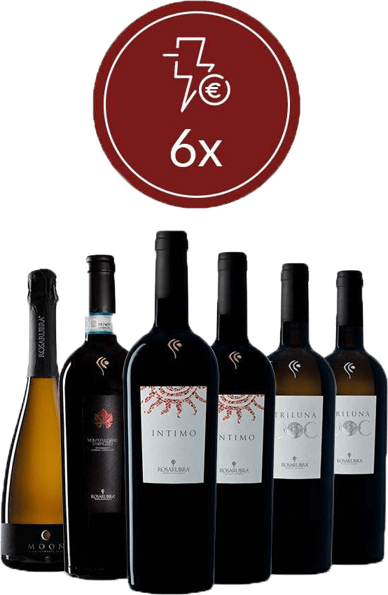 Promo: 6x Rosarubra Mix