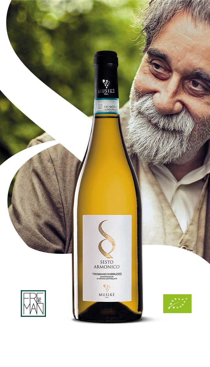 Musikè Sesto Armonico Trebbiano d'Abruzzo DOC 2021 0,75L - immagine 6