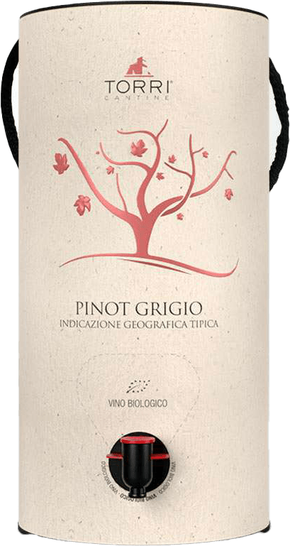 Bag in Tube Pinot Grigio IGT Terre di Chieti 2021 3L