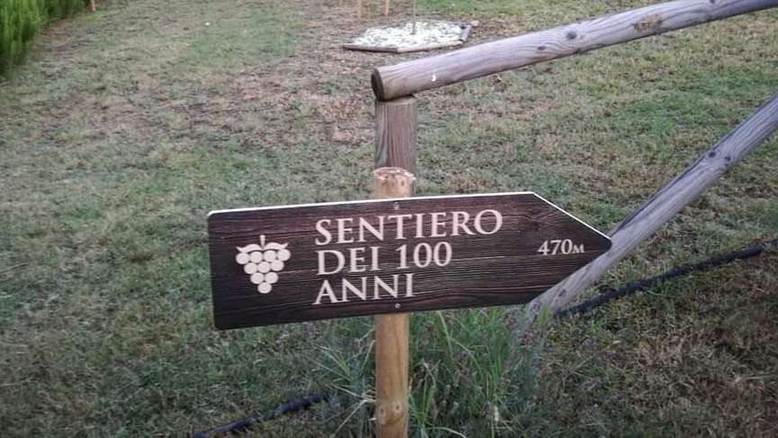 evoluzione_vino