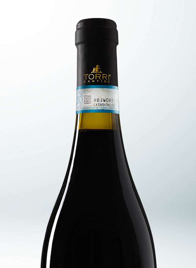 Ca'Natura Montepulciano d'Abruzzo DOC 2021 Biologico - immagine 4
