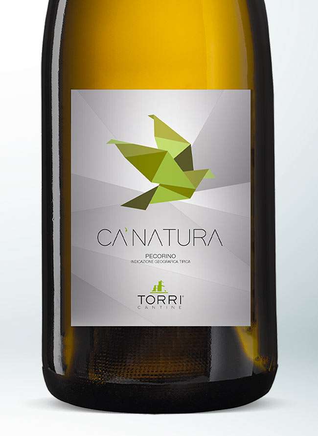 Ca'Natura Pecorino IGT Terre di Chieti 2021 Biologico - immagine 2