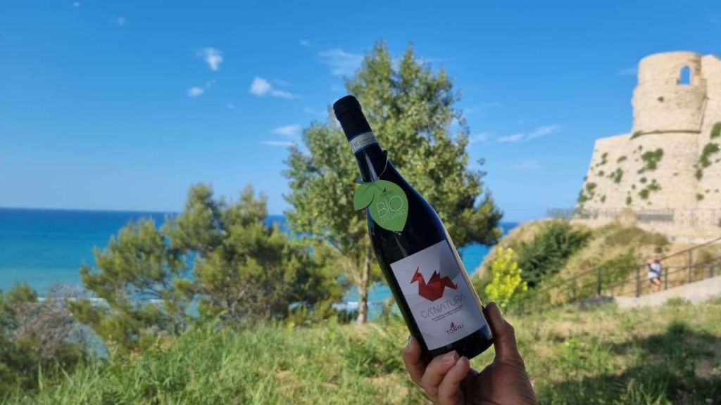 ca_natura_montepulciano