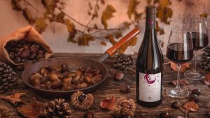 vino_novello