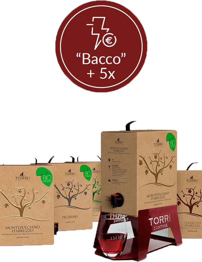 Promo 5x Bag in Box da 5L + Porta Bag in Box personalizzato Torri Cantine in OMAGGIO