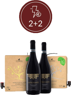 Promo speciale: 2x Bag in Box 2,25L + 2x Montepulciano d'Abruzzo DOC Sottovento 0,75L